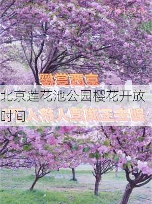 北京莲花池公园樱花开放时间