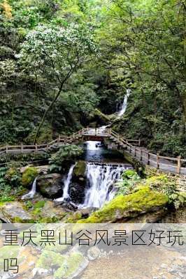 重庆黑山谷风景区好玩吗