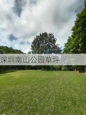 深圳南山公园草坪