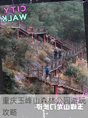 重庆玉峰山森林公园游玩攻略