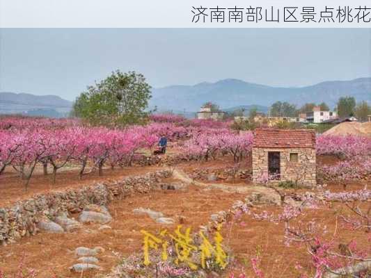 济南南部山区景点桃花