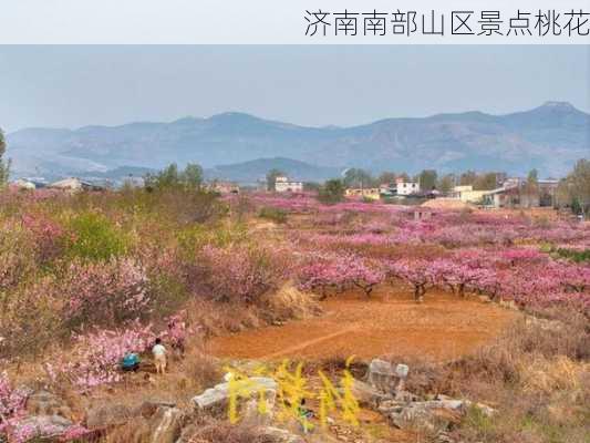 济南南部山区景点桃花