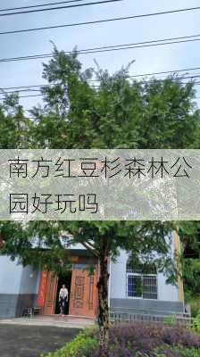 南方红豆杉森林公园好玩吗