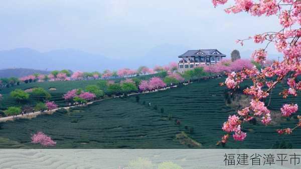 福建省漳平市