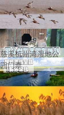 慈溪杭州湾湿地公园门票