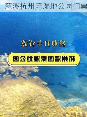 慈溪杭州湾湿地公园门票