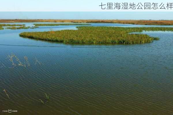 七里海湿地公园怎么样