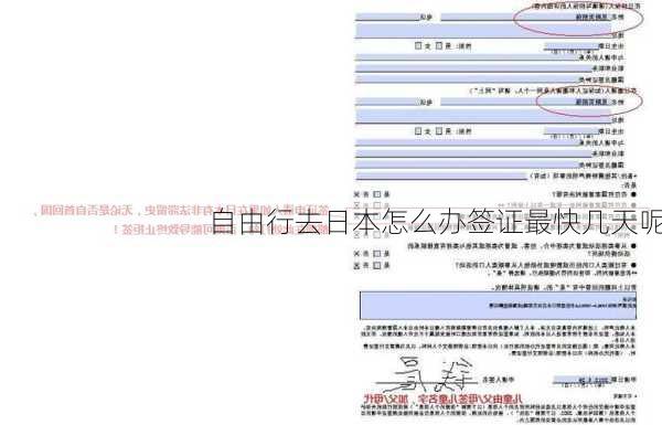 自由行去日本怎么办签证最快几天呢