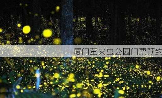 厦门萤火虫公园门票预约