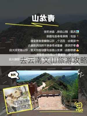 去云南文山旅游攻略