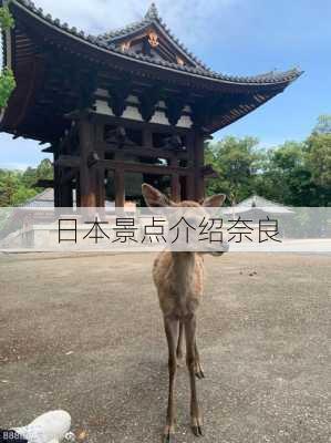 日本景点介绍奈良