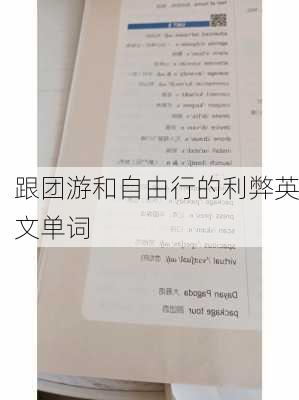 跟团游和自由行的利弊英文单词