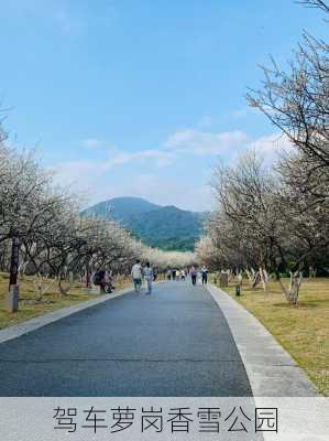 驾车萝岗香雪公园