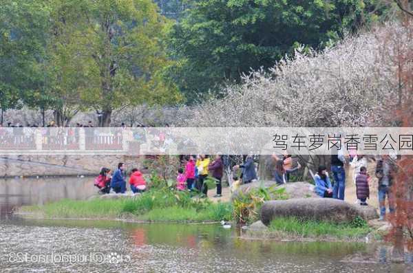 驾车萝岗香雪公园