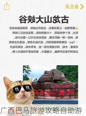 广西巴马旅游攻略自助游