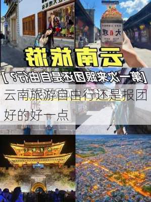 云南旅游自由行还是报团好的好一点