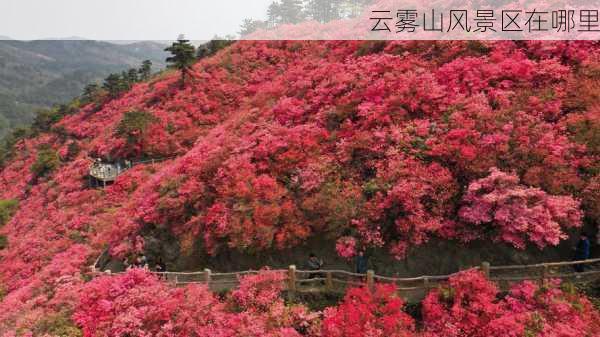 云雾山风景区在哪里