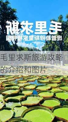 毛里求斯旅游攻略的介绍和图片