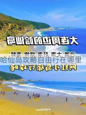 哈仙岛攻略自由行在哪里