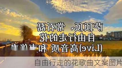 自由行走的花歌曲文案图片