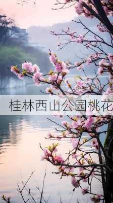 桂林西山公园桃花