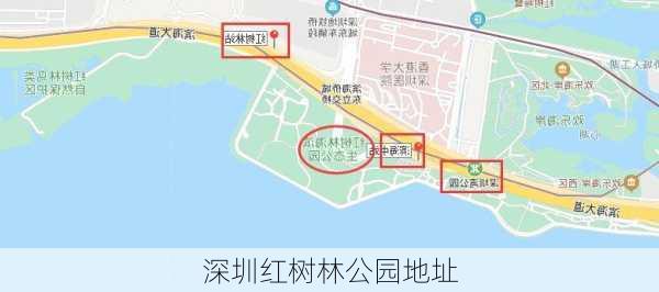 深圳红树林公园地址