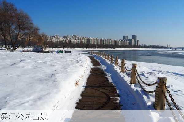 滨江公园雪景