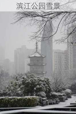 滨江公园雪景