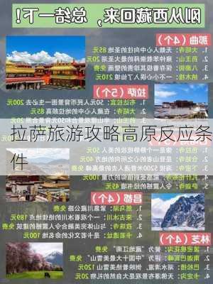 拉萨旅游攻略高原反应条件