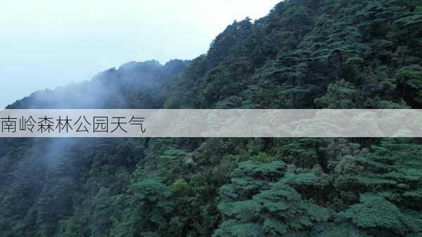 南岭森林公园天气