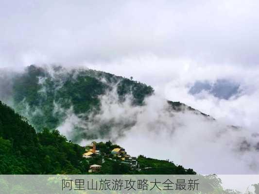 阿里山旅游攻略大全最新