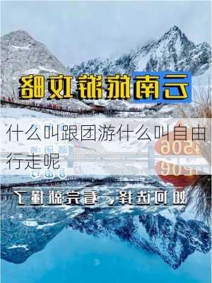 什么叫跟团游什么叫自由行走呢