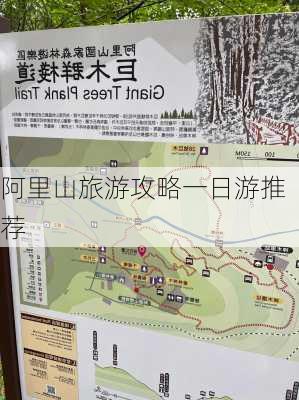 阿里山旅游攻略一日游推荐