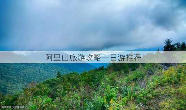 阿里山旅游攻略一日游推荐