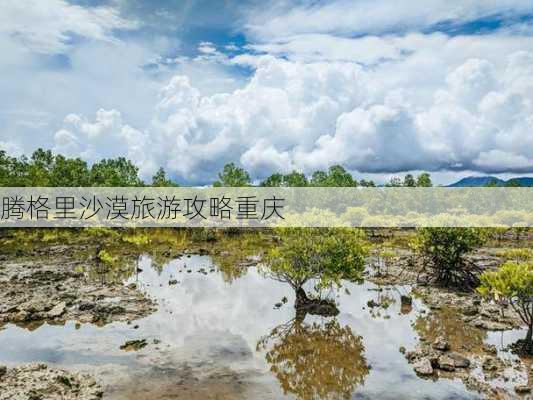 腾格里沙漠旅游攻略重庆