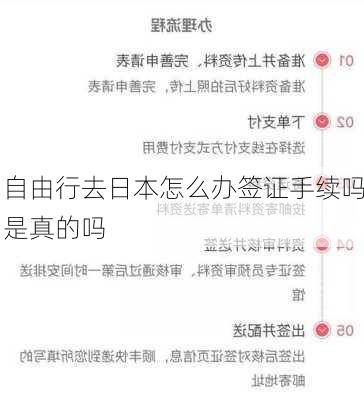 自由行去日本怎么办签证手续吗是真的吗