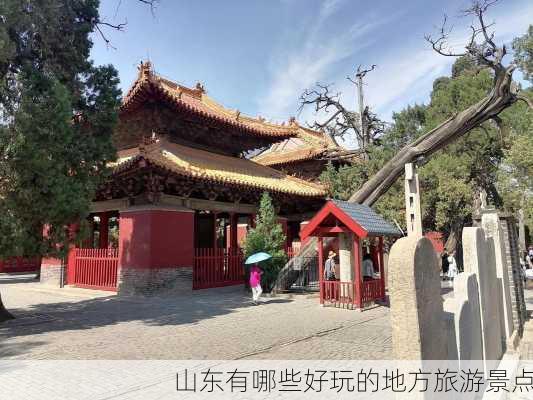 山东有哪些好玩的地方旅游景点