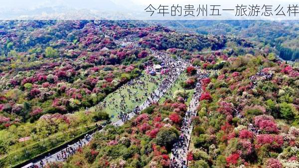 今年的贵州五一旅游怎么样