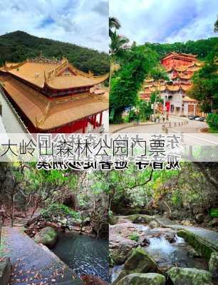 大岭山森林公园门票