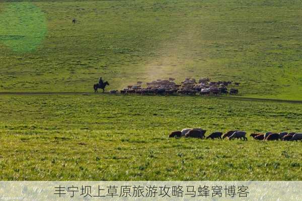 丰宁坝上草原旅游攻略马蜂窝博客