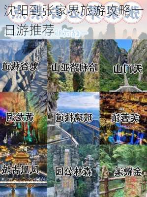 沈阳到张家界旅游攻略一日游推荐