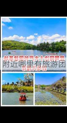 附近哪里有旅游团