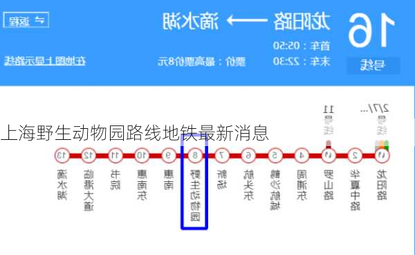 上海野生动物园路线地铁最新消息