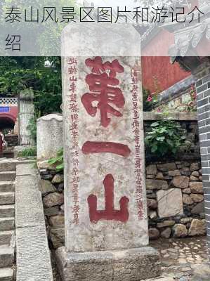 泰山风景区图片和游记介绍