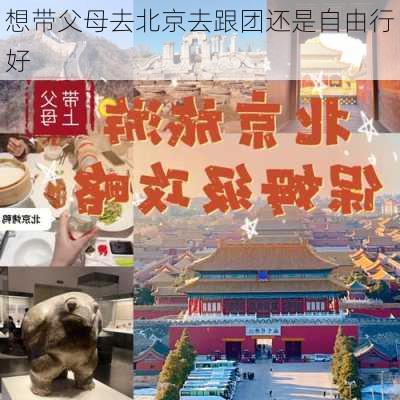 想带父母去北京去跟团还是自由行好