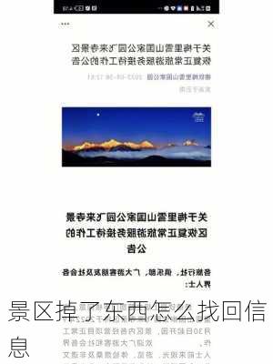 景区掉了东西怎么找回信息