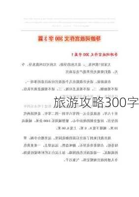 旅游攻略300字