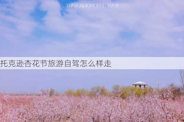 托克逊杏花节旅游自驾怎么样走