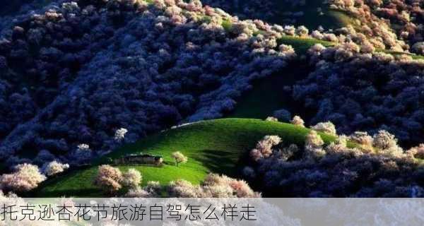 托克逊杏花节旅游自驾怎么样走